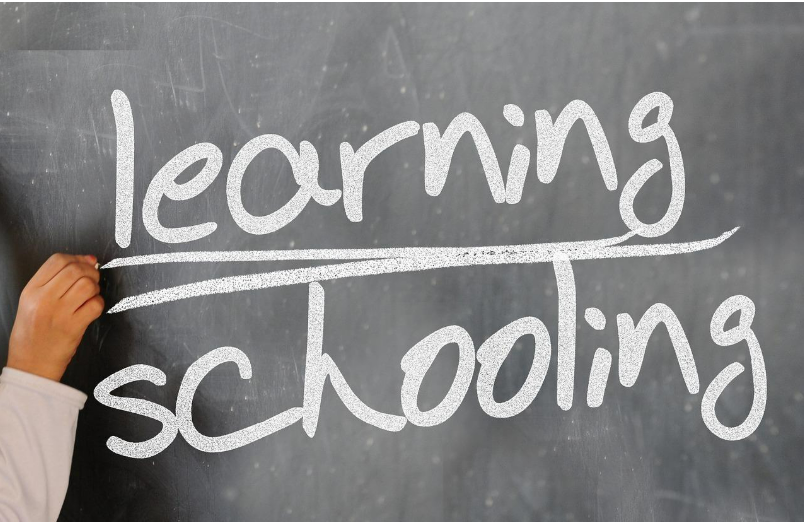 食品業界の研究職で求められるスキル