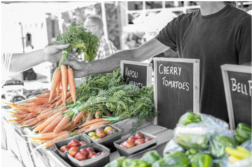 食品業界の研究職が求められる分野