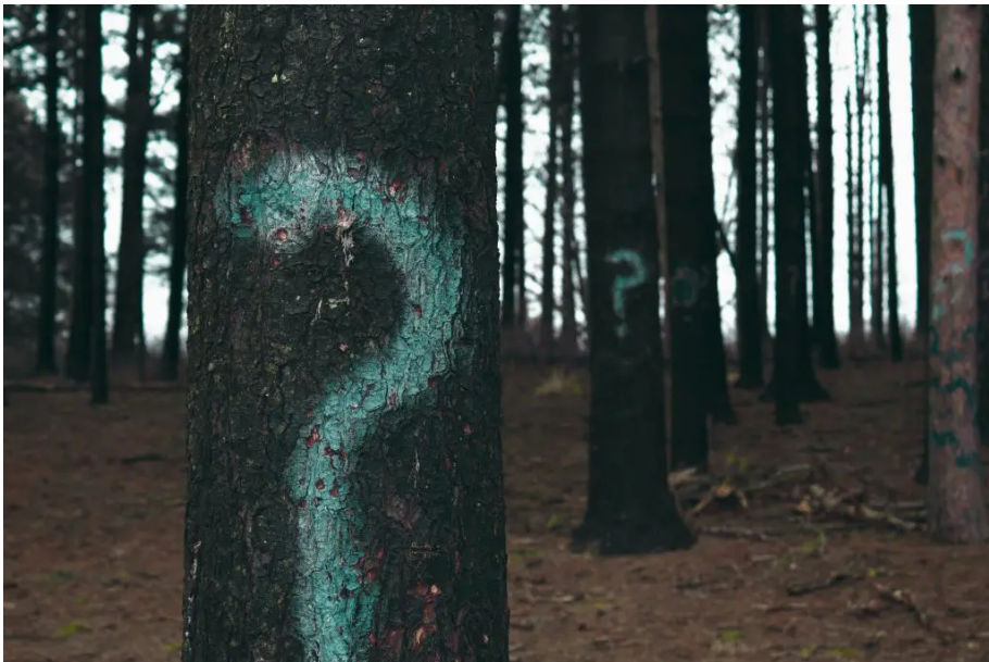 研究職の仕事内容に関するよくある質問