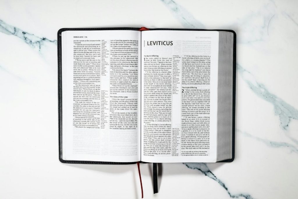 理系学部の種類