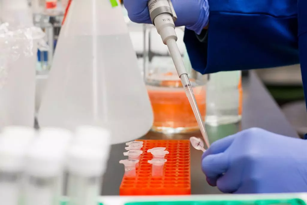 薬学部の就職率と薬剤師として就職した人の割合