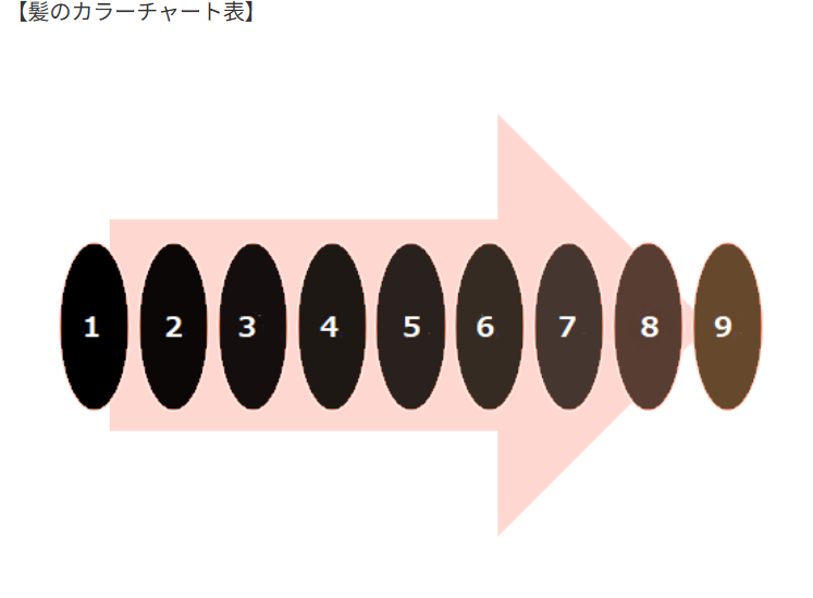 髪のカラーチャート表